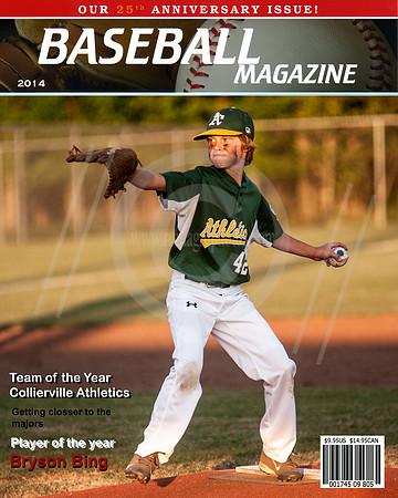 Baseball Cover bing