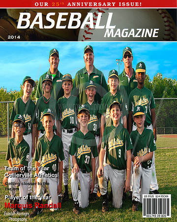 Baseball Cover - maquis - costco
