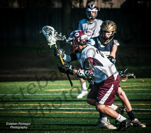 DSC_2800_filtered
