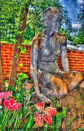 statute_hdr