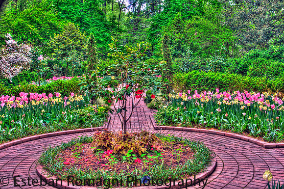 GARDEN HDR2