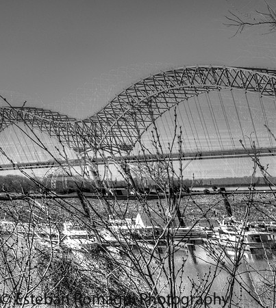 bridge b&W