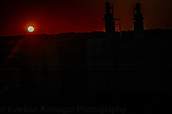 DSC_5553-3
