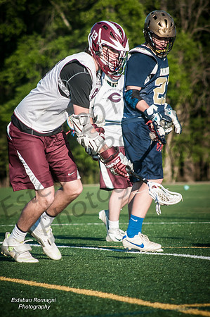 DSC_2737_filtered