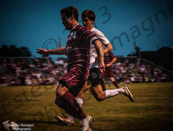 DSC_4606-2_filtered