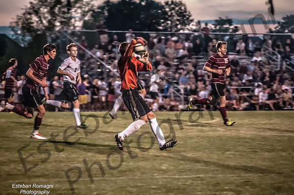 DSC_7384_filtered