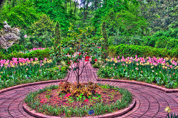 GARDEN HDR2