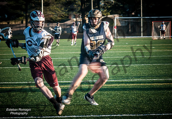 DSC_3274_filtered