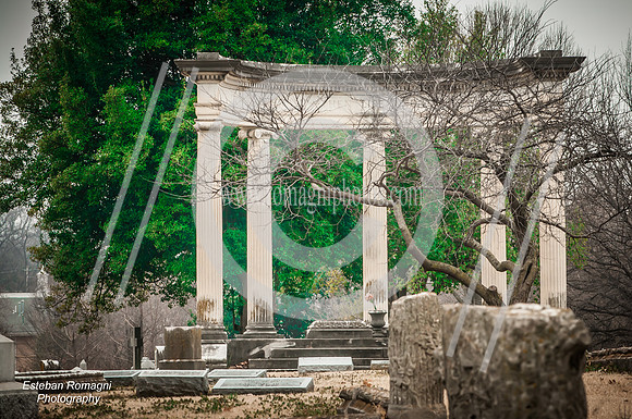 EJRPHO--1654